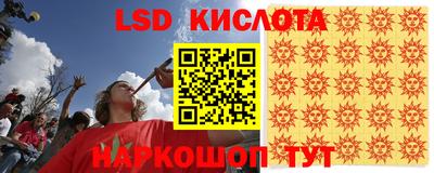 прущие грибы Канаш