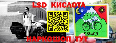 прущие грибы Канаш