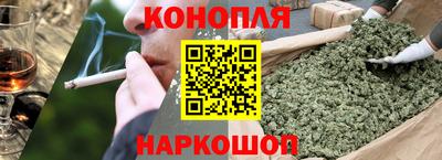 прущие грибы Камышлов