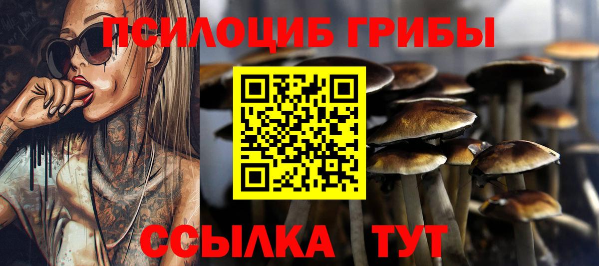Галлюциногенные грибы Cubensis  наркота  Крымск  Вход с VPN  Галлюциногенные грибы мицелий 